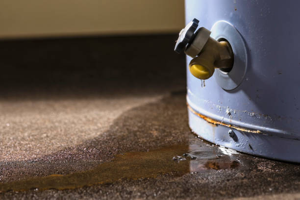Best Water damage restoration process  in North Bend, NE
