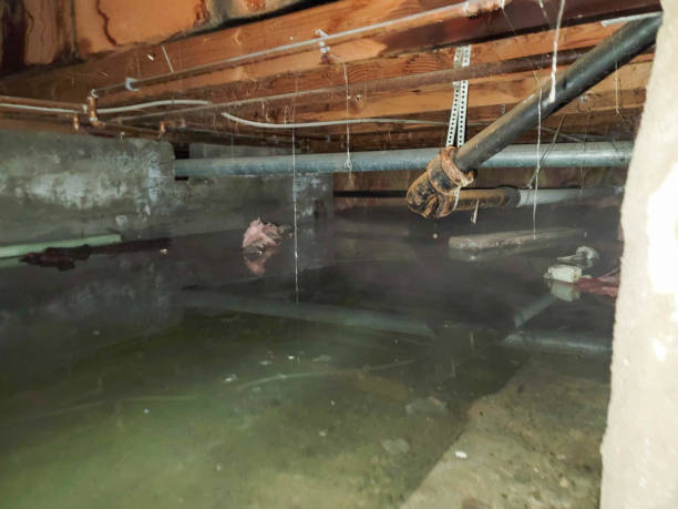 Reliable NE Water damage restoration Solutions