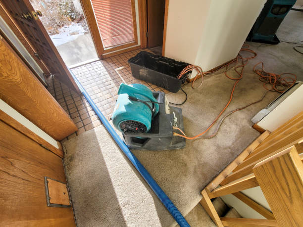 Best 24/7 water damage repair  in North Bend, NE