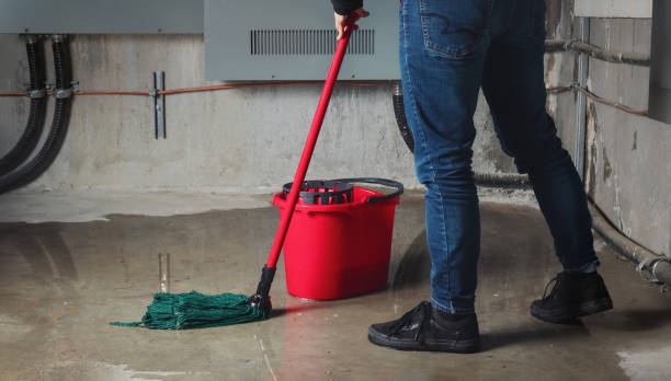 Water damage restoration mold remediation in NE