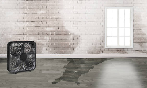 Local water damage restoration in NE