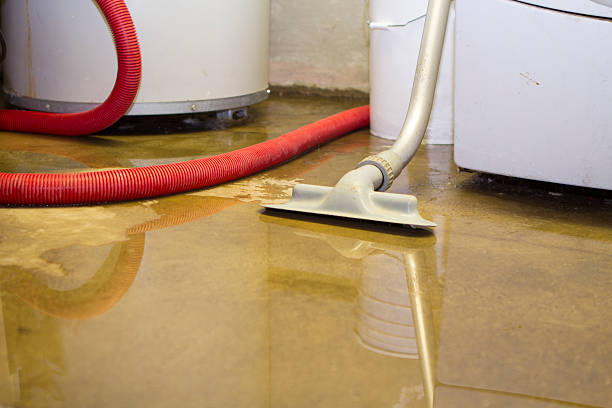 Best Ceiling water damage repair  in North Bend, NE