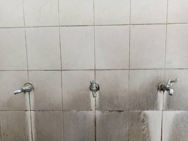 Best Water damage restoration services  in North Bend, NE