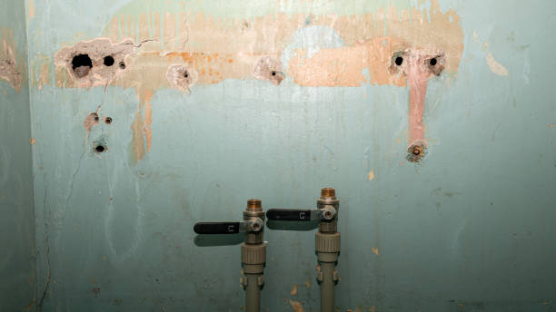 Best Professional water damage repair  in North Bend, NE