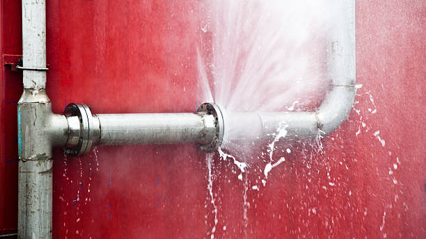 Best Carpet water damage restoration  in North Bend, NE